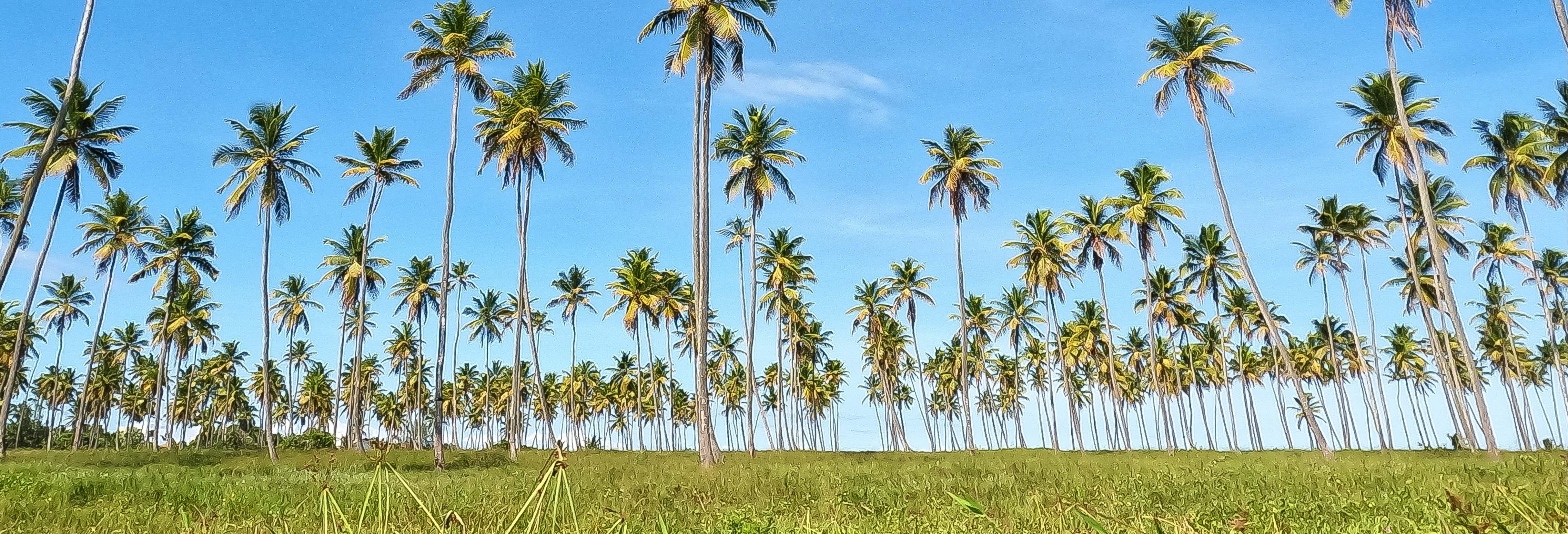 Maracaípe