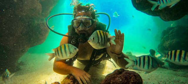 Immersione a Porto de Galinhas