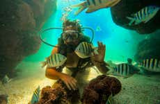 Scuba Diving in Porto de Galinhas