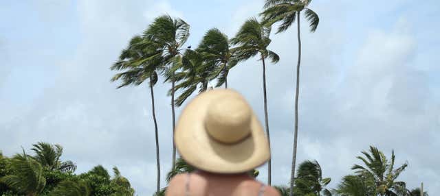 Escursione alla spiaggia di  São José da Coroa Grande