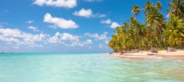 Escursione alla spiaggia di Maragogi