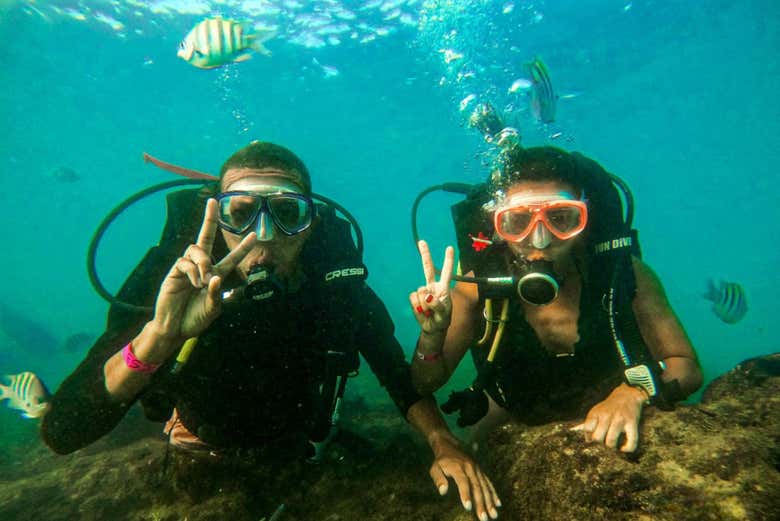 Wikitravel