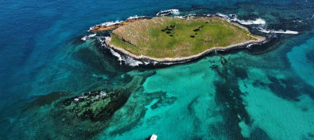 Escursione al Parco Nazionale Marino di Abrolhos