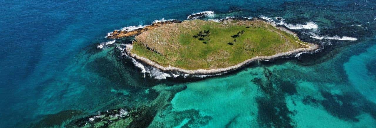Escursione al Parco Nazionale Marino di Abrolhos