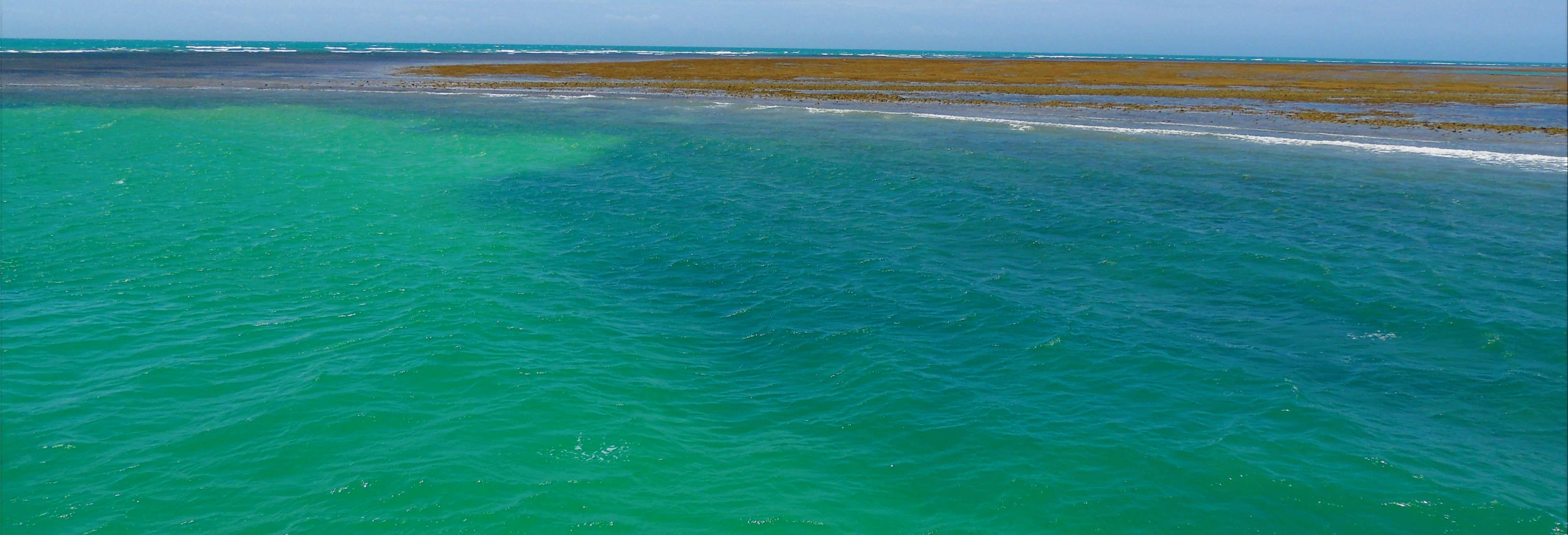 Recife de Fora Marine Park Excursion