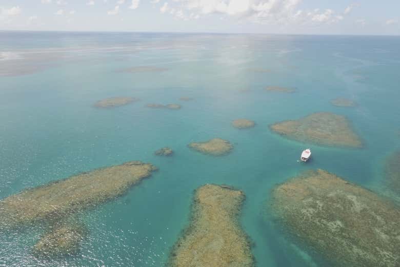 Recife de Fora Marine Park Day Trip