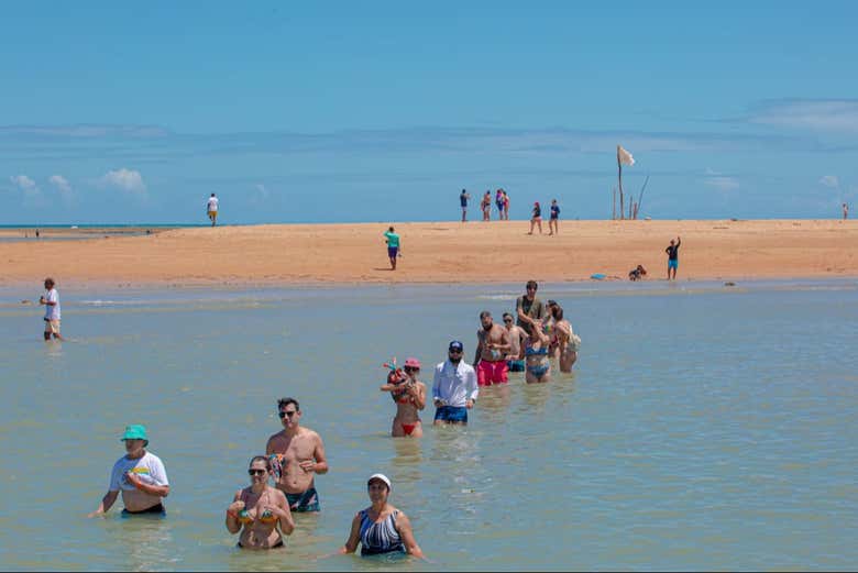 Imagen 6