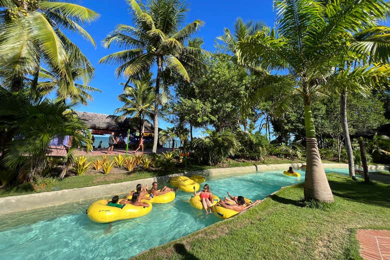 Imagen 8