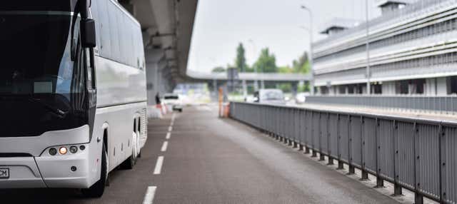 Transfer tra l'aeroporto di Porto Seguro e Santa Cruz Cabrália