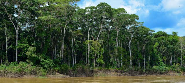 Giro in barca sul fiume Madeira