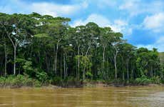 Madeira River Boat Ride