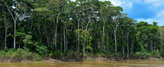 Balade en bateau sur le rio Madeira