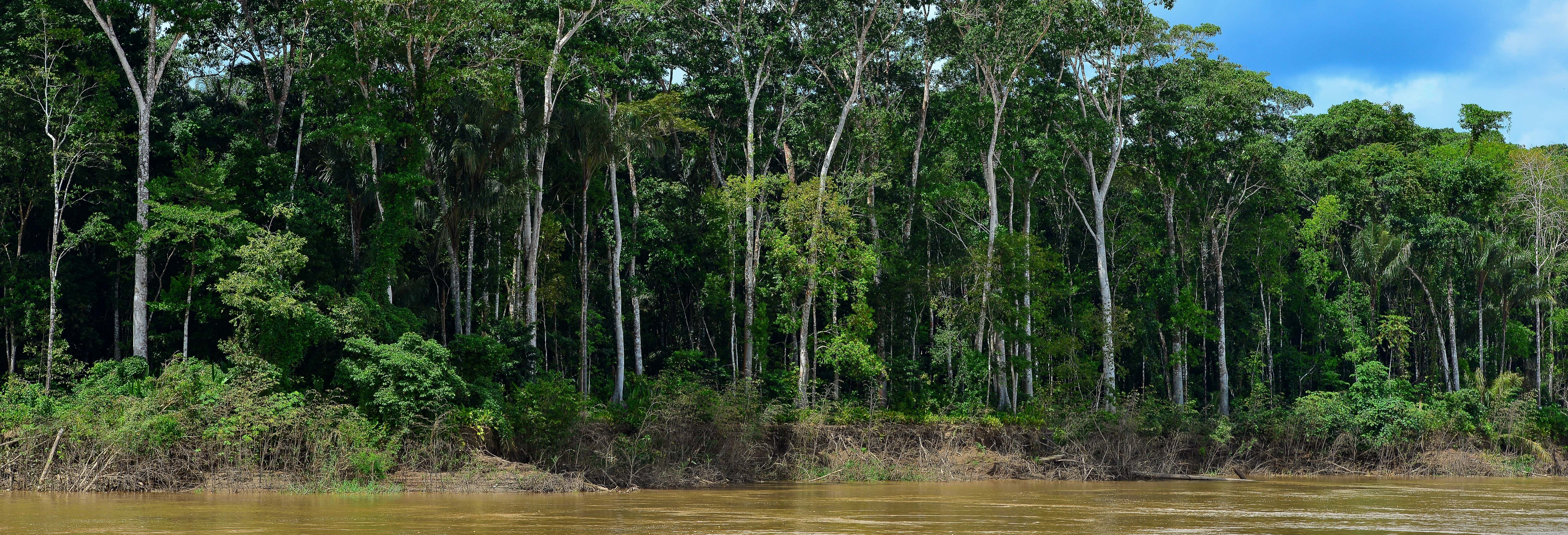 Giro in barca sul fiume Madeira