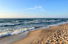 Praia do Forte Tour