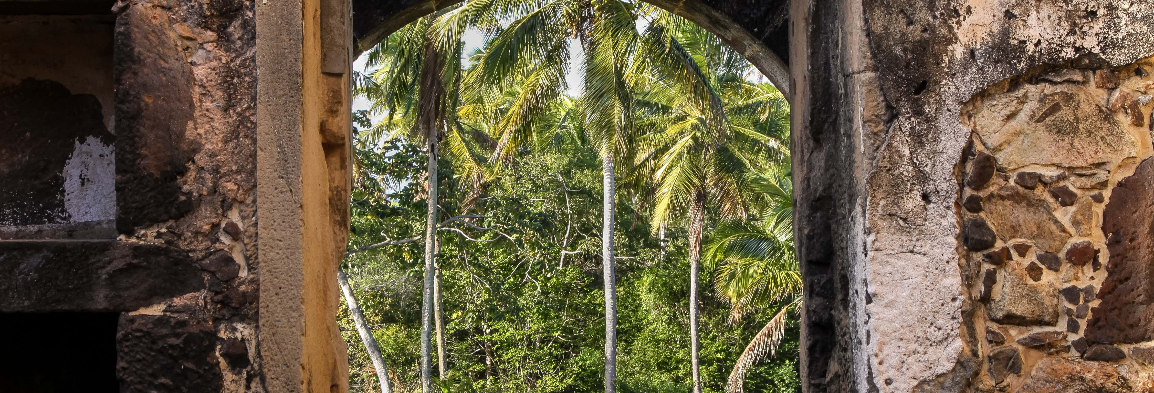 Sapiranga Reserve ATV Tour