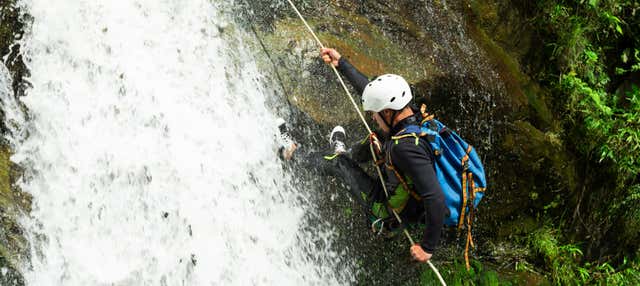 Torrentismo nella Via do Café