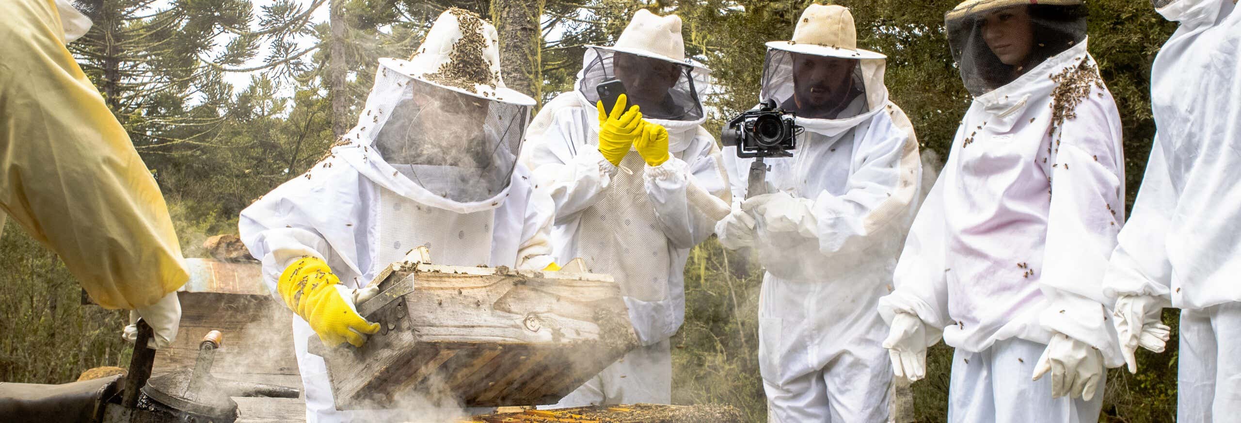 Cambará do Sul Honey Tour