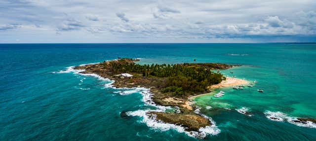 Escursione all'isola di Santo Aleixo