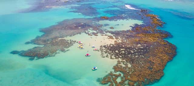 Escursione a Maragogi