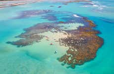 Maragogi Day Trip
