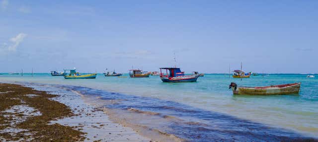 Escursione alla spiaggia di São José da Coroa Grande