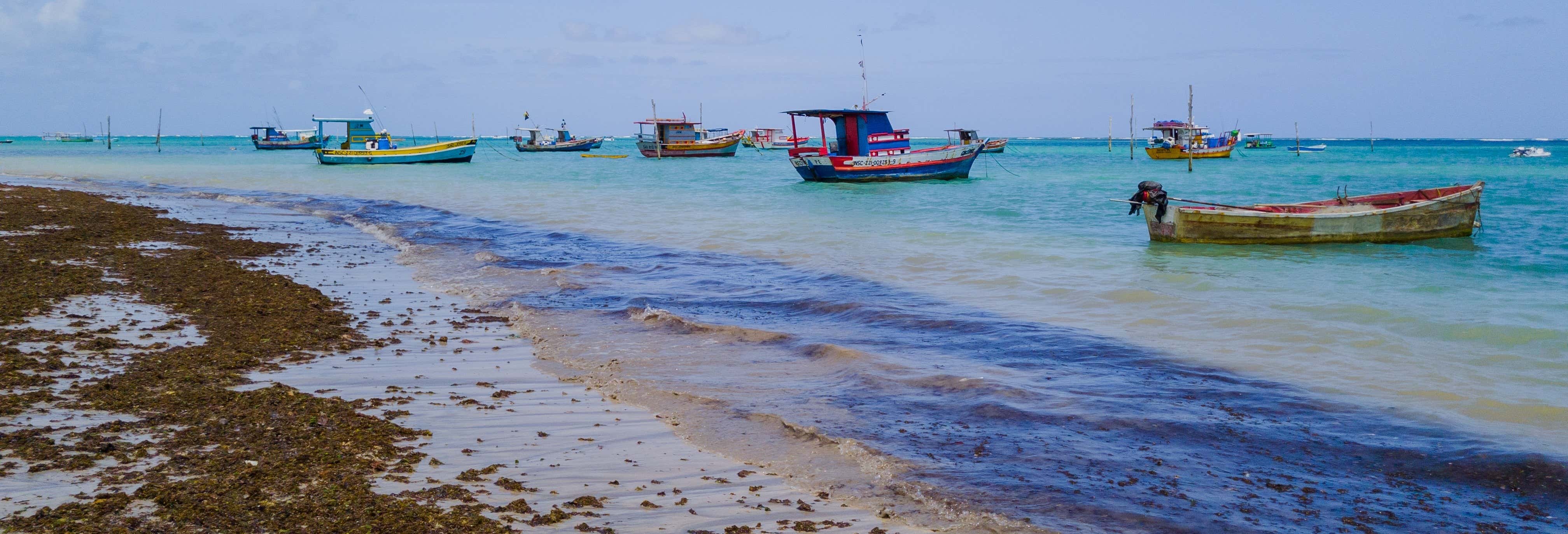 Escursione alla spiaggia di São José da Coroa Grande