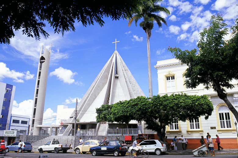 Imagen 8