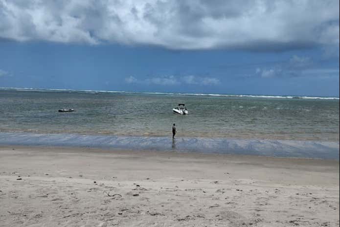 Imagen 7