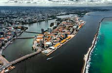 Tour por Recife y el Instituto Ricardo Brennand