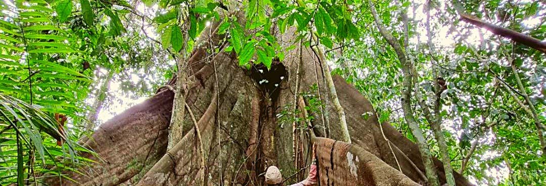 Luau Colony Hiking Tour