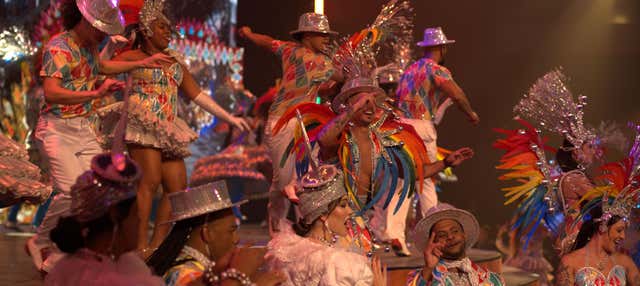 Trasporto e biglietto per lo show del Roxy Dinner Show