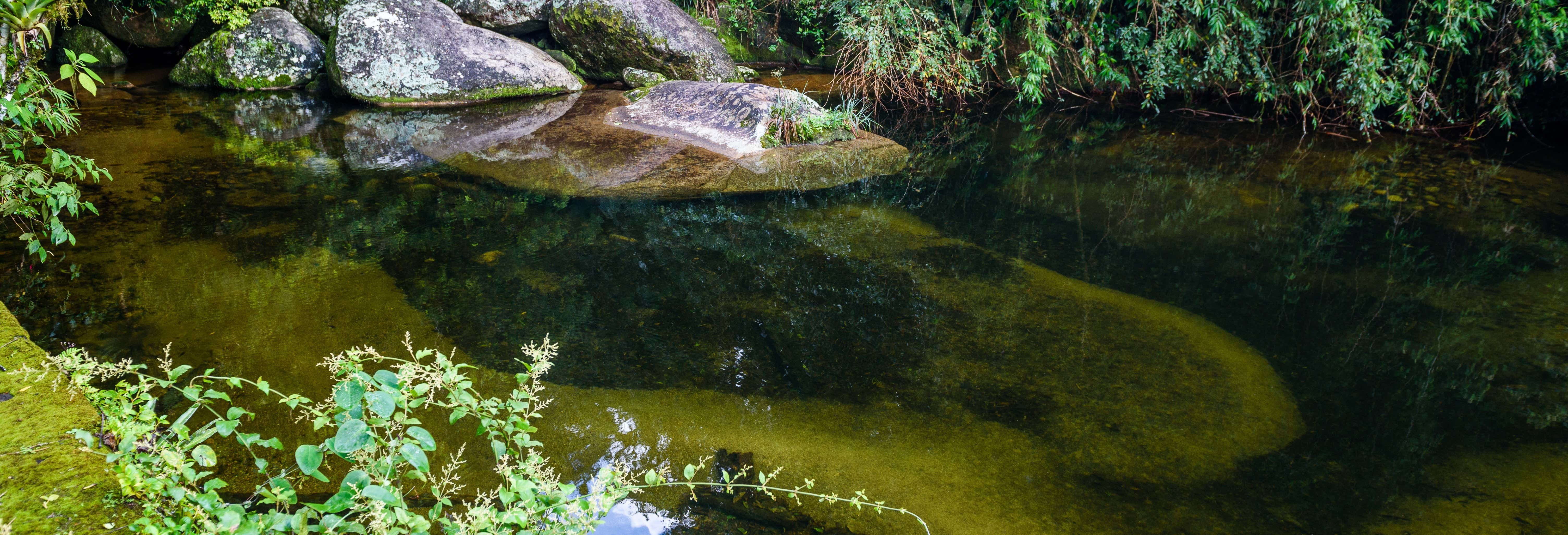Escursione alla Serra dos Órgãos