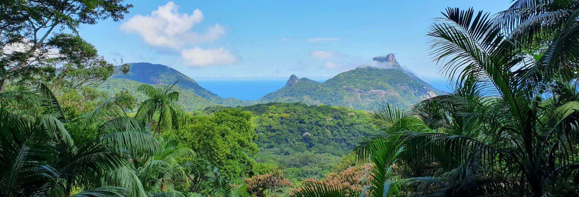 Free Offroading Tour of Tijuca National Park