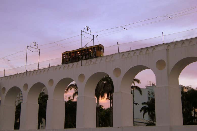 Imagen 5