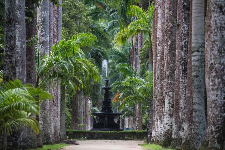 Botanical Garden + Tijuca Forest Tour