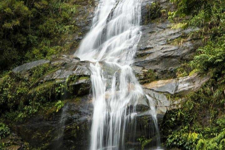 Imagen 9