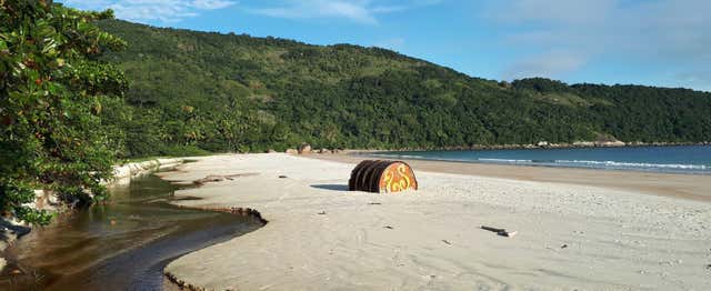 Trilha pela Ilha Grande