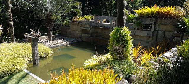 Escursione al Sítio Burle Marx