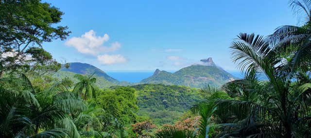 Tour nel Parco Nazionale di Tijuca in 4x4