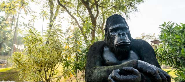 Tour del BioParque + Ruota panoramica Rio Star