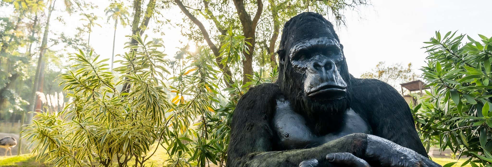 Tour del BioParque + Ruota panoramica Rio Star