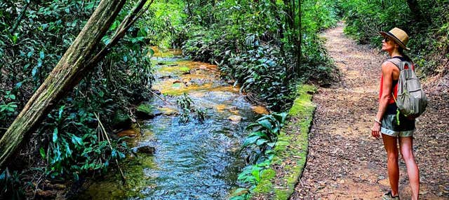 Tour dei parchi nazionali di Río de Janeiro