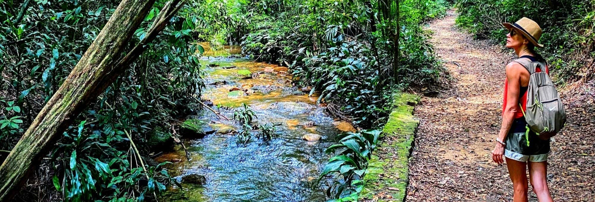 Tour dei parchi nazionali di Río de Janeiro
