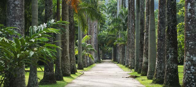 Visita guidata del Giardino Botanico e il Bosque de Tijuca