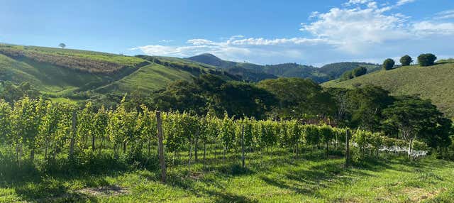 Visita alla cantina Inconfidência