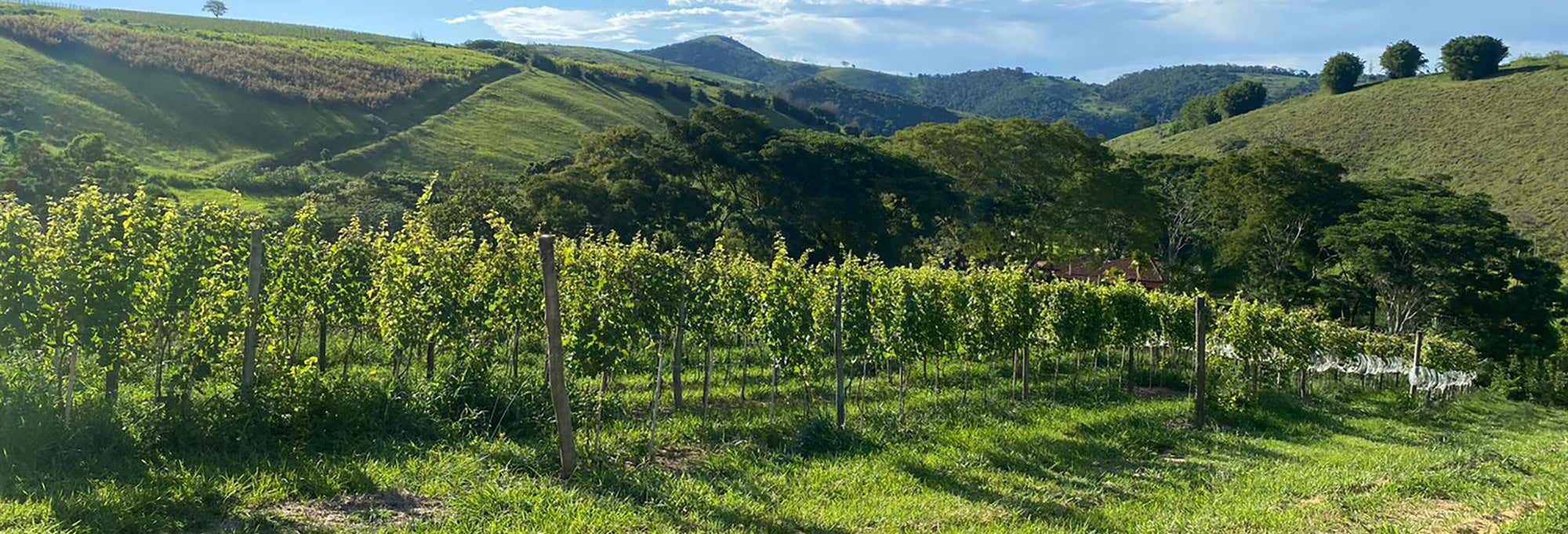 Visita alla cantina Inconfidência