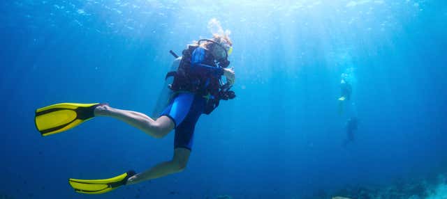 Immersione nella baia di Tutti i Santi