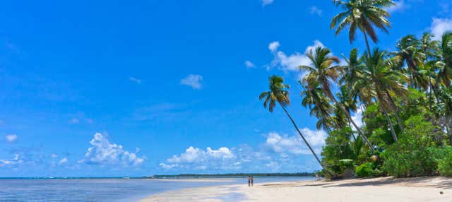 Escursione a Morro de São Paulo