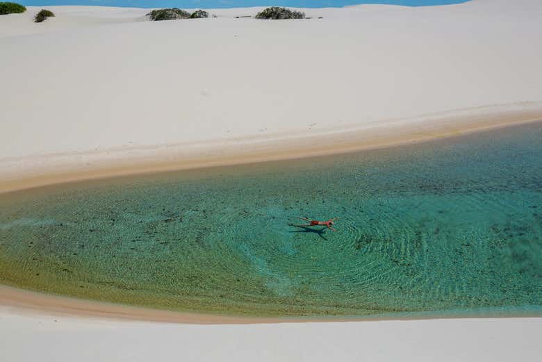 Imagen 7