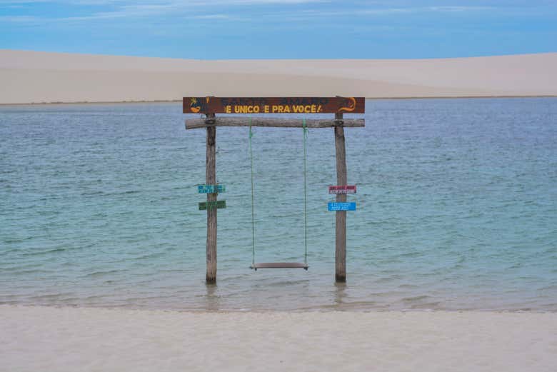 Imagen 6